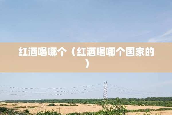 红酒喝哪个（红酒喝哪个国家的）