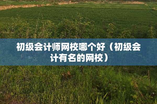 初级会计师网校哪个好（初级会计有名的网校）