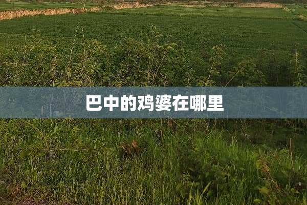巴中的鸡婆在哪里