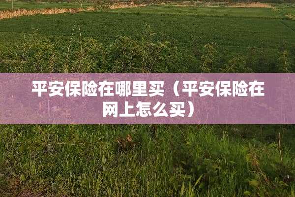 平安保险在哪里买（平安保险在网上怎么买）