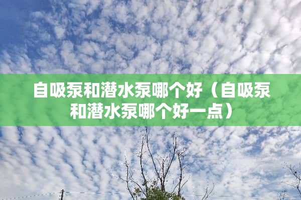 自吸泵和潜水泵哪个好（自吸泵和潜水泵哪个好一点）