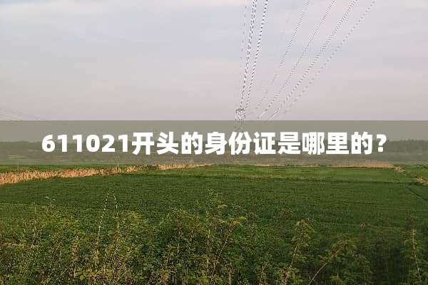 611021开头的***是哪里的？