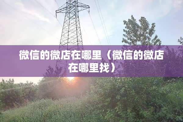 微信的微店在哪里（微信的微店在***）
