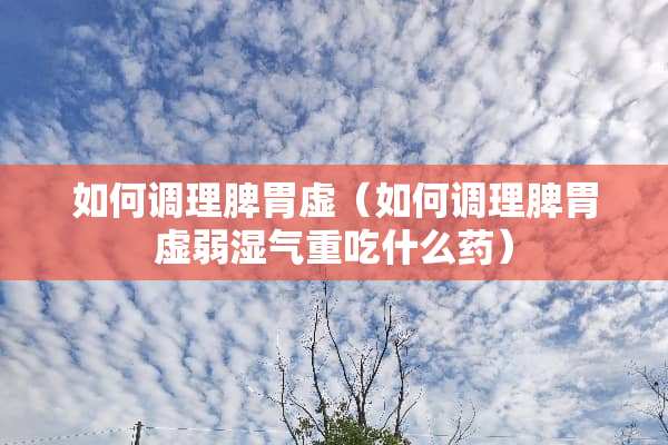 如何调理脾胃虚（如何调理脾胃虚弱湿气重吃什么药）