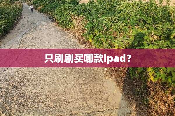 只刷剧买哪款ipad？