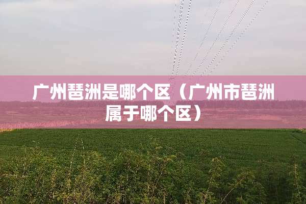 广州琶洲是哪个区（广州市琶洲属于哪个区）