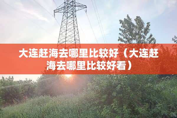 大连赶海去哪里比较好（大连赶海去哪里比较好看）