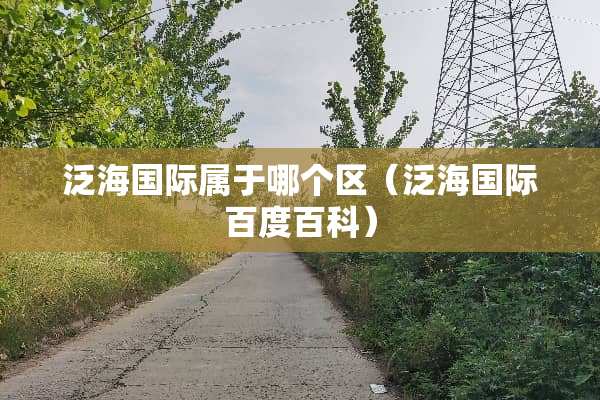 泛海国际属于哪个区（泛海国际百度百科）