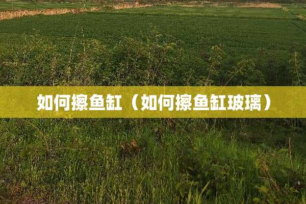 如何擦鱼缸（如何擦鱼缸玻璃）