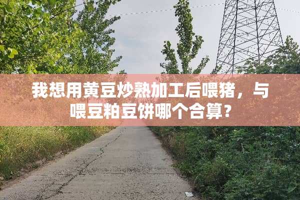 我想用黄豆炒熟加工后喂猪，与喂豆粕豆饼哪个合算？