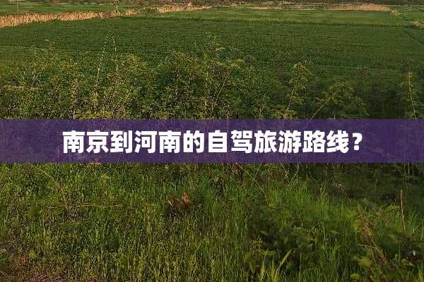 南京到河南的自驾旅游路线？