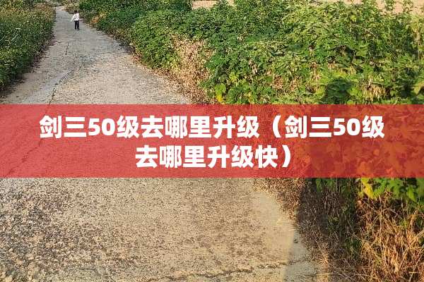 剑三50级去哪里升级（剑三50级去哪里升级快）