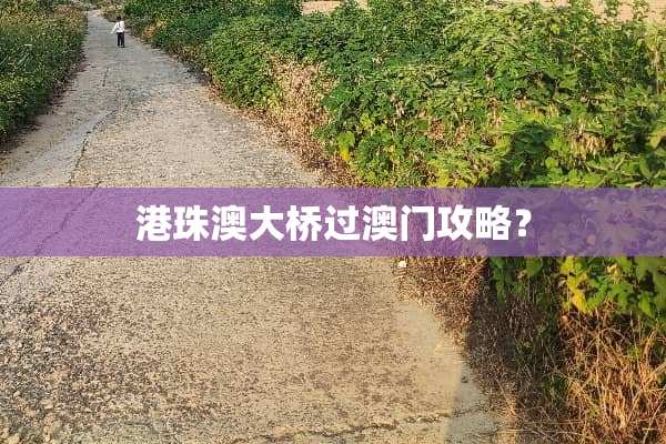 港珠澳大桥过澳门攻略？