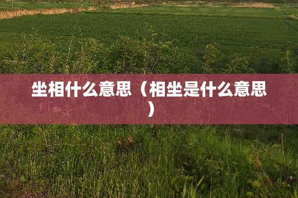 坐相什么意思（相坐是什么意思）