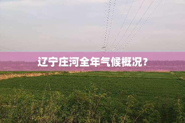 辽宁庄河全年气候概况？