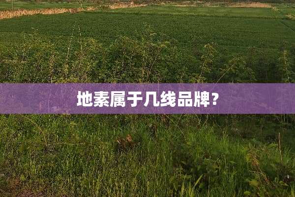 地素属于几线品牌？
