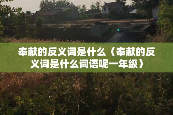 奉献的反义词是什么（奉献的反义词是什么词语呢一年级）