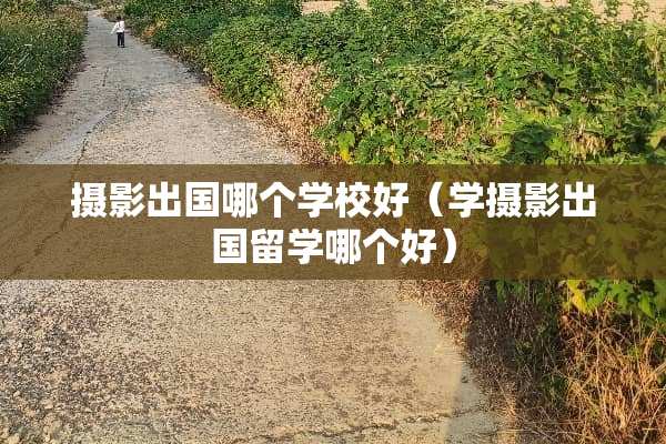 摄影出国哪个学校好（学摄影出国留学哪个好）