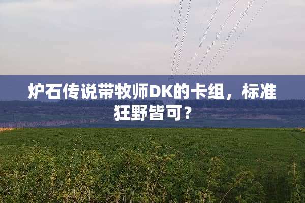 炉石传说带牧师DK的卡组，标准狂野皆可？
