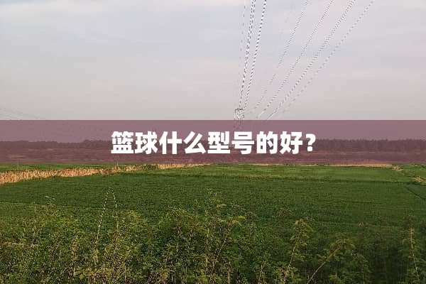篮球什么型号的好？