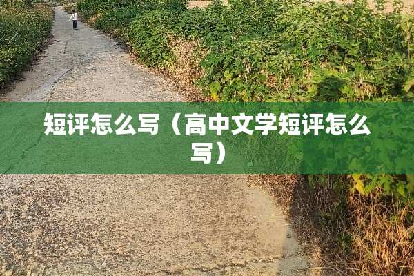 短评怎么写（高中文学短评怎么写）