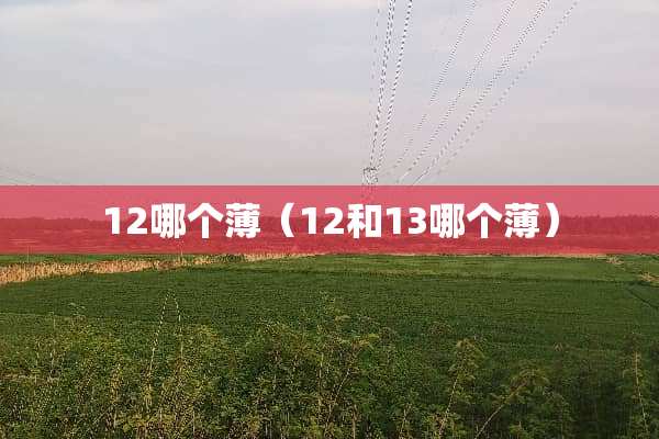 12哪个薄（12和13哪个薄）