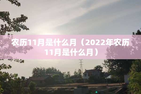 农历11月是什么月（2022年农历11月是什么月）