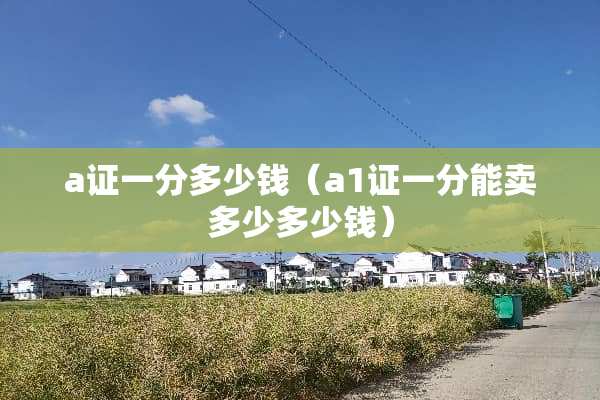 a证一分多少钱（a1证一分能卖多少多少钱）