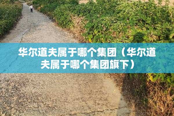 华尔道夫属于哪个集团（华尔道夫属于哪个集团旗下）