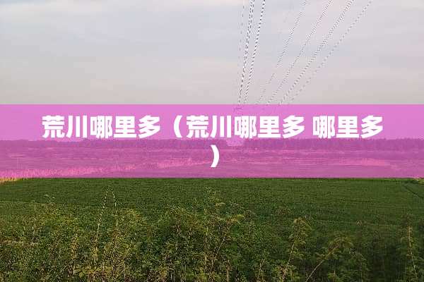 荒川哪里多（荒川哪里多 哪里多）