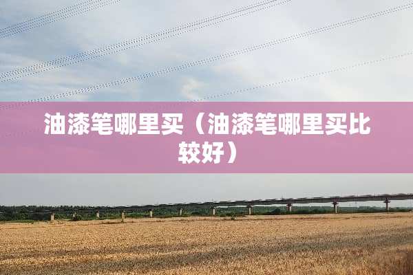 油漆笔哪里买（油漆笔哪里买比较好）