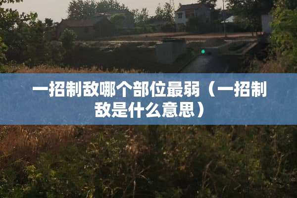 一招制敌哪个部位最弱（一招制敌是什么意思）