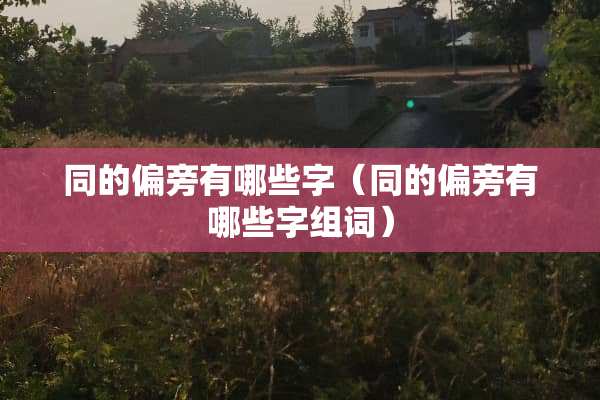 同的偏旁有哪些字（同的偏旁有哪些字组词）