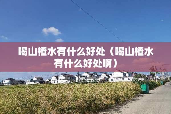 喝山楂水有什么好处（喝山楂水有什么好处啊）