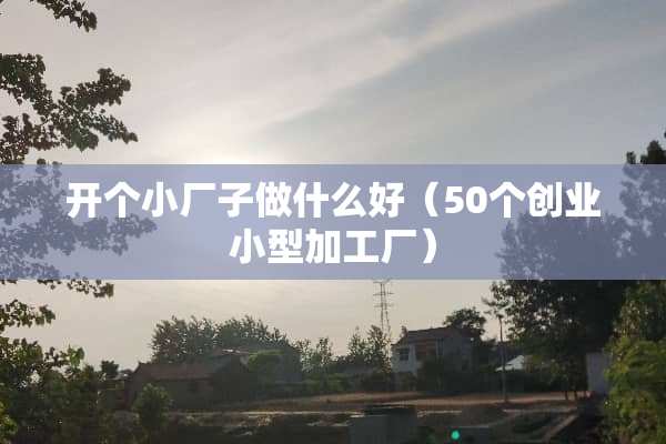 开个小厂子做什么好（50个创业小型加工厂）