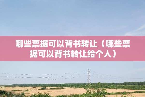 哪些票据可以背书转让（哪些票据可以背书转让给个人）