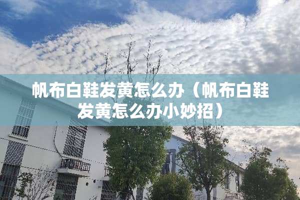 帆布白鞋发黄怎么办（帆布白鞋发黄怎么办小妙招）