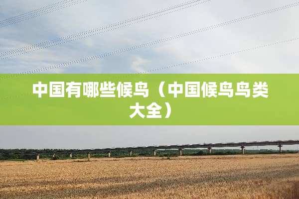 中国有哪些候鸟（中国候鸟鸟类大全）