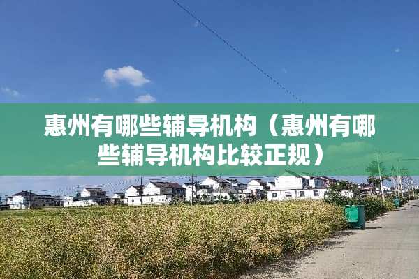惠州有哪些辅导机构（惠州有哪些辅导机构比较正规）