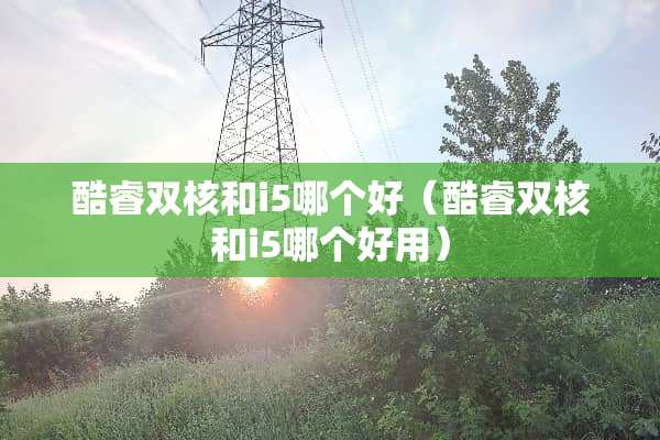 酷睿双核和i5哪个好（酷睿双核和i5哪个好用）