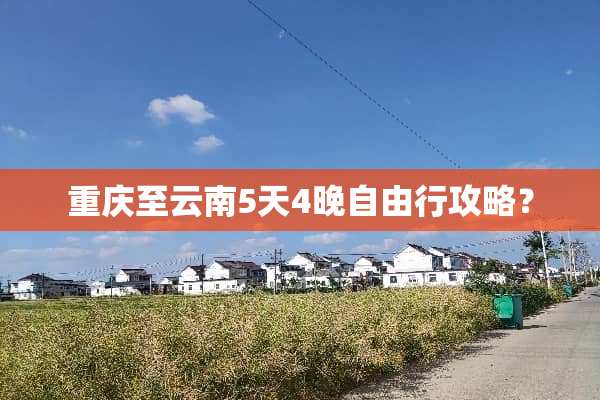 重庆至云南5天4晚自由行攻略？