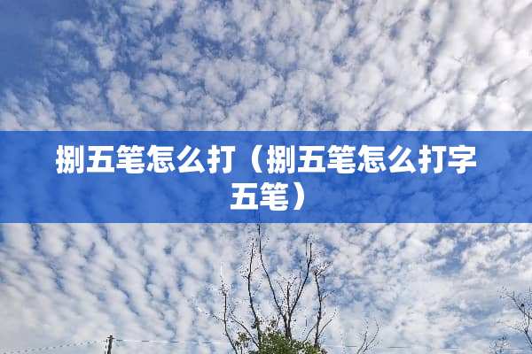 捌五笔怎么打（捌五笔怎么打字五笔）