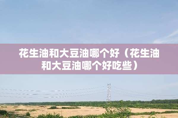 花生油和大豆油哪个好（花生油和大豆油哪个好吃些）