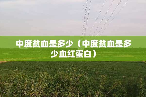 中度贫血是多少（中度贫血是多少血红蛋白）