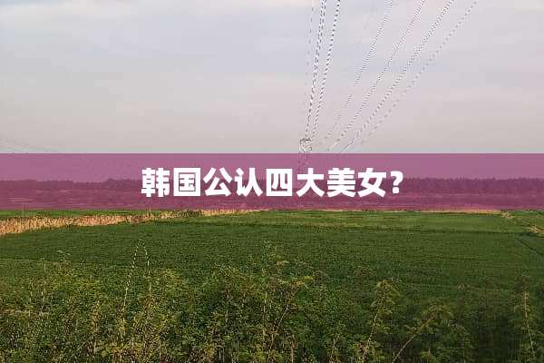 韩国公认四大**？