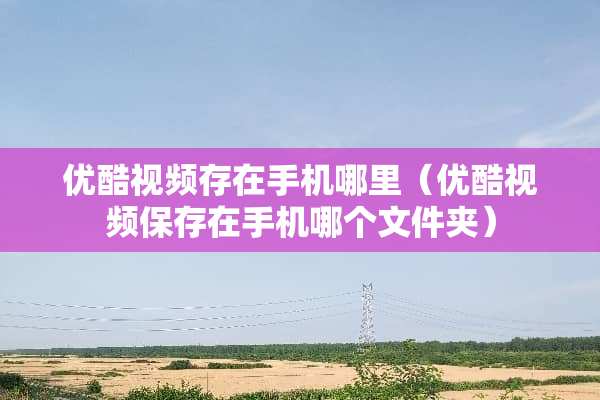 优酷视频存在手机哪里（优酷视频保存在手机哪个文件夹）