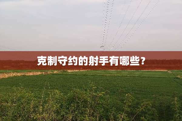 克制守约的射手有哪些？