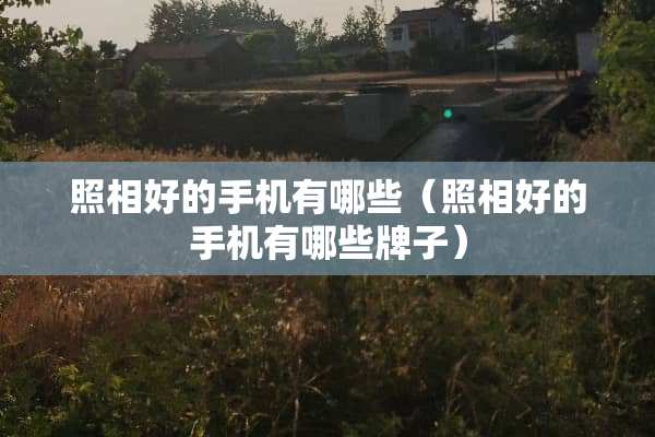 照相好的手机有哪些（照相好的手机有哪些牌子）