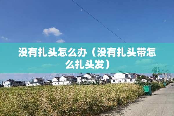 没有扎头怎么办（没有扎头带怎么扎头发）