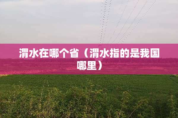渭水在哪个省（渭水指的是我国哪里）